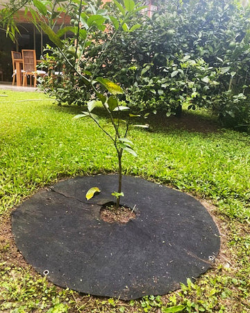 Tapete Control Malezas Diámetro 110 cms